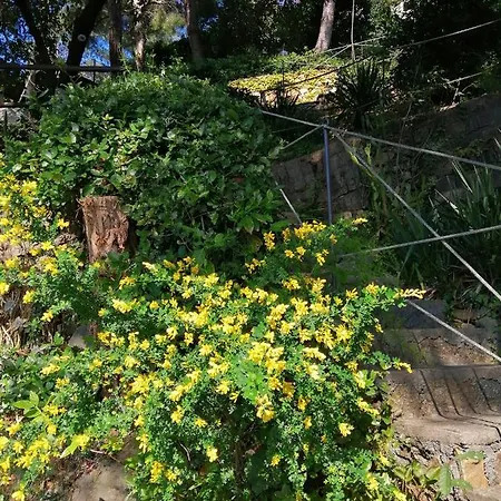 Le Terre Del Drago ベッド・アンド・ブレックファスト 4*