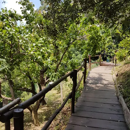 Le Terre Del Drago Bed & Breakfast