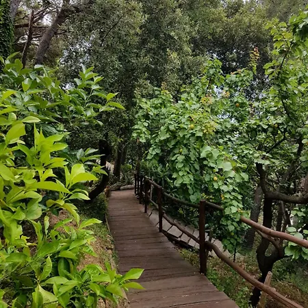 Le Terre Del Drago Bed & Breakfast